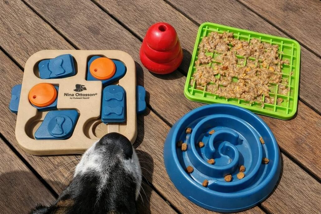 A Cattle Dog Mix Working Intently At A Snuffle Mat On The Floor