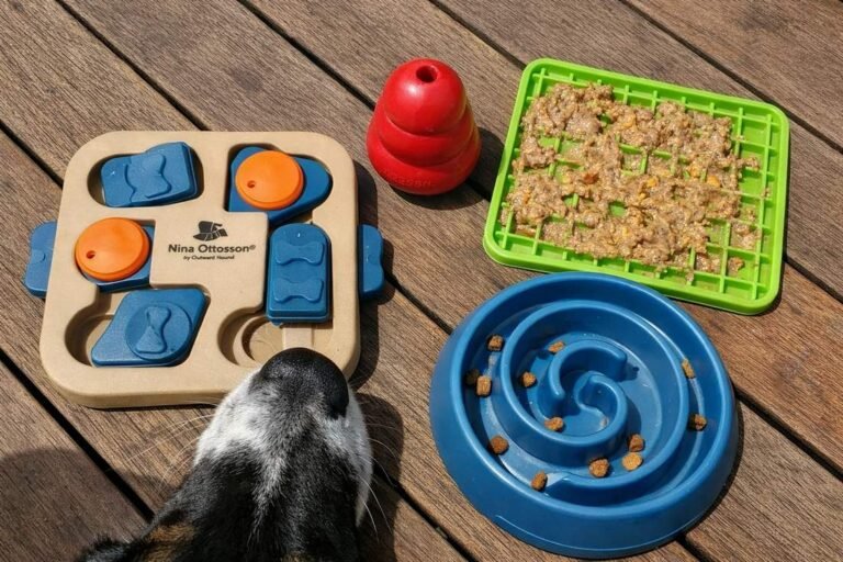 A Cattle Dog Mix Working Intently At A Snuffle Mat On The Floor