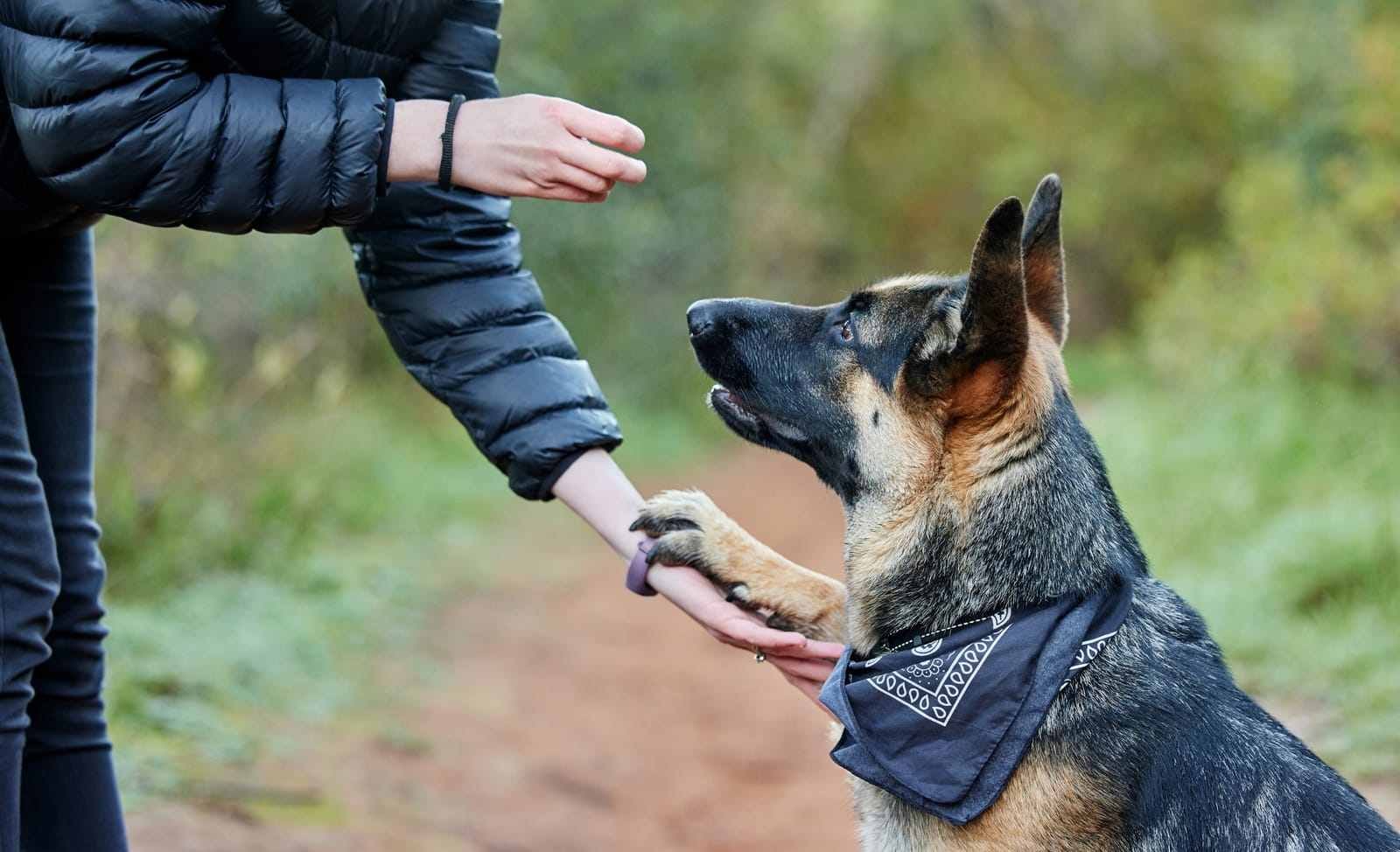 Woman Teaching Dog