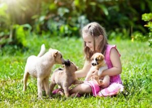 Puppies with girl